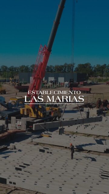 La construcción empieza cuando la industria se pone en marcha. 🚚🏭🏗️🌎
.
.
#palacioshermanos #lamarías #construcción #industria #Chaco #Corrientes