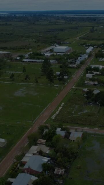 Se inauguró el nuevo Polideportivo de Guaviraví, Corrientes ! 
Estamos orgulloso por la ejecución de tan importante obra . 
Se llevó adelante en conjunto con @palacios.premoldeados , responsables de la fabricación de las columnas, tribunas y piso industrial, y @palacios.metalurgica , encargada de la estructura metálica, cubierta, cerramientos laterales, vigas alveolares y equipamiento deportivo (postes de vóley y jirafas de básquet).
.
.
#NuestrasObras #PalaciosHermanos #PalaciosPremoldeados #PalaciosMetalurgica #Construccion #Infraestructura #Corrientes #Guaviravi #Polideportivo #ObraEntregada